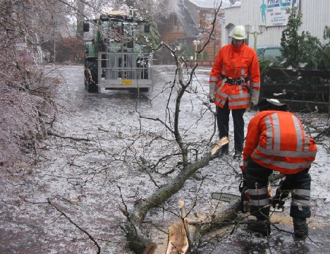 entfernen der niedergefallenen Äste