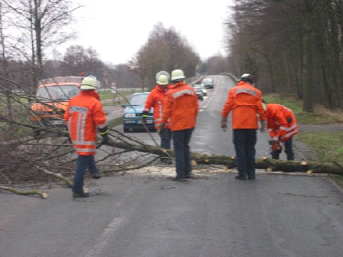 Einsatzkräfte entfernen den Baum