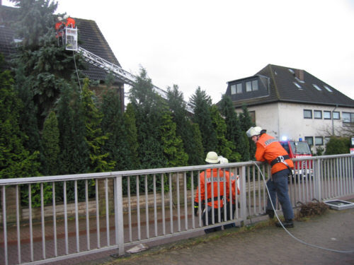 Das Drahtseil wird im Baum angebracht