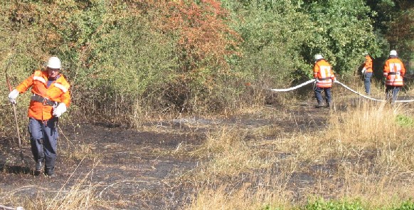 Einsatzkräfte im Unterholz