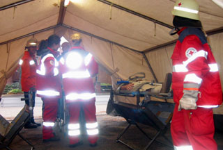 SEG Triage