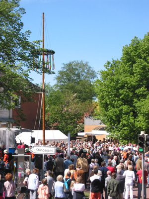 Maibaum 2007