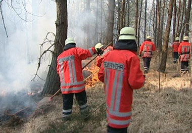 Einsatzkräfte im Wald