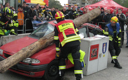 Baum auf PKW