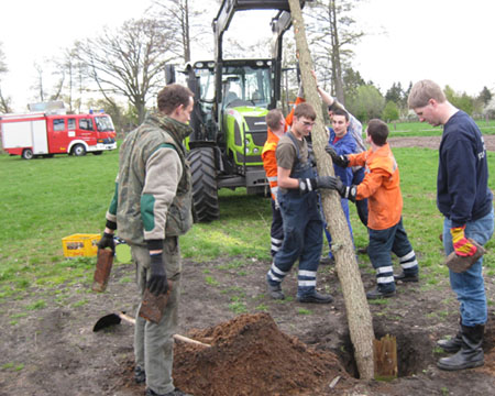 Einsetzen des Baumes