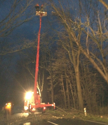 Bäumfällen mit Hubsteiger