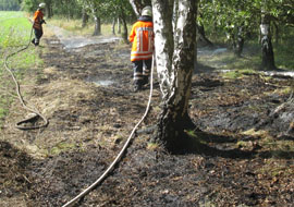 Flchenbrand nahe der L 190