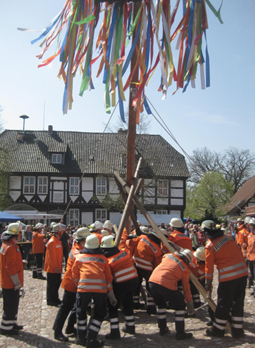 2013: Maibaumkrone am Maibaum