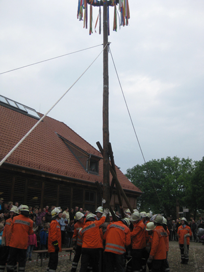 Maibaum 2014