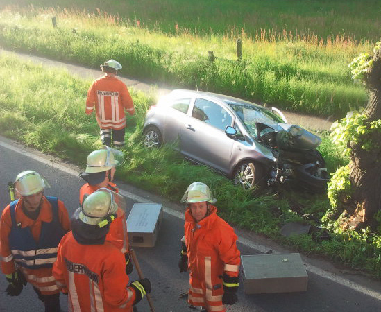 PKW gegen Baum