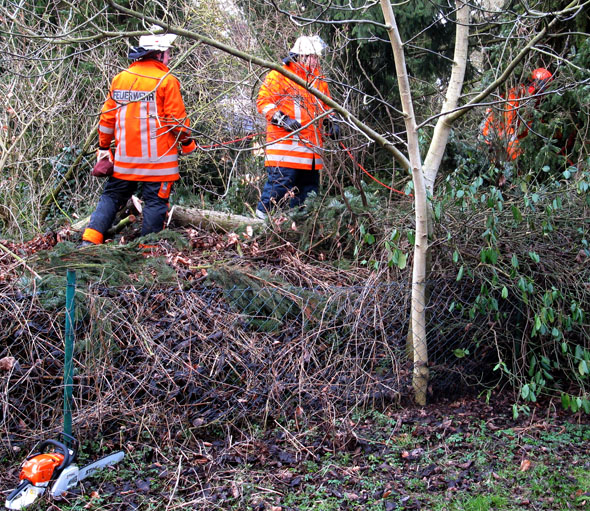 Baum droht auf Telefonleitung zu fallen