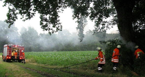 Baumbrand nach Blitzeinschlag