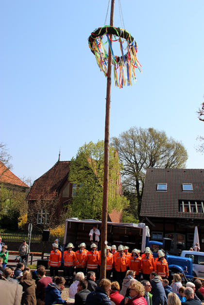 Maibaum 2016