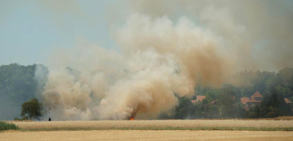 2018: Feld-,und Waldbrand