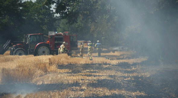 2018: Feld-,und Waldbrand