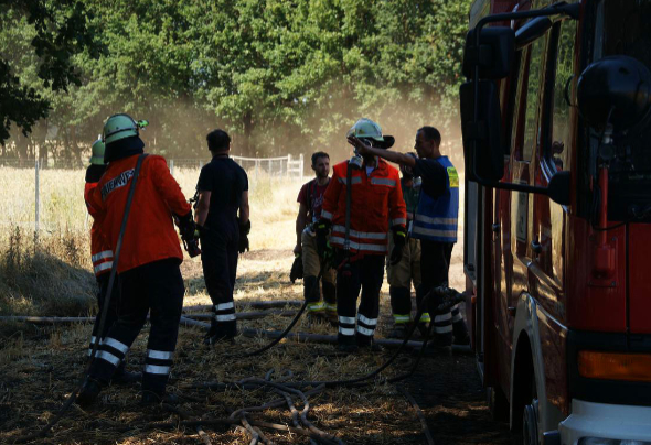 2018: Feld-,und Waldbrand