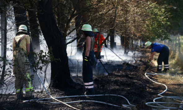 2018: Feld-,und Waldbrand